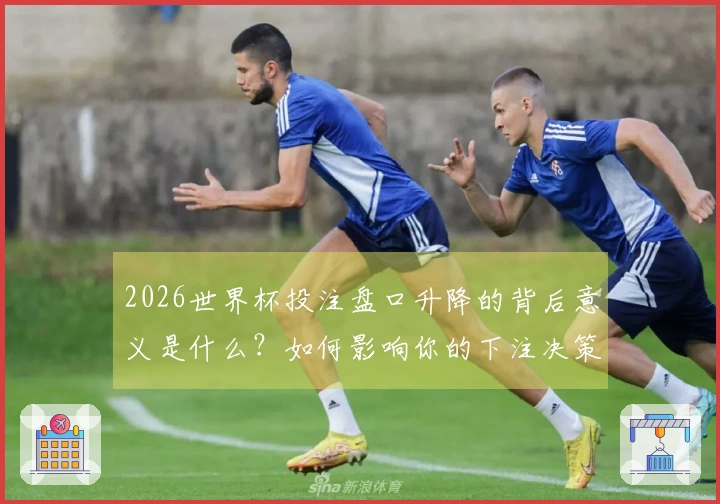 2026世界杯投注盘口升降的背后意义是什么？如何影响你的下注决策？