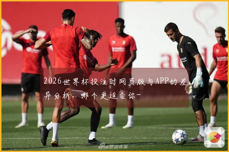 2026世界杯投注时网页版与APP的差异分析，哪个更适合你-