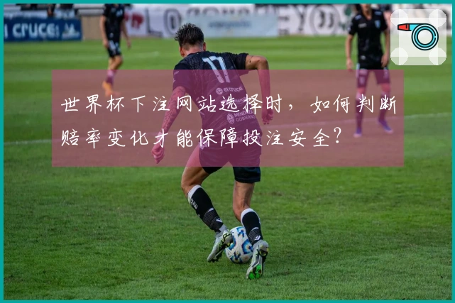 世界杯下注网站选择时,如何判断赔率变化才能保障投注安全?