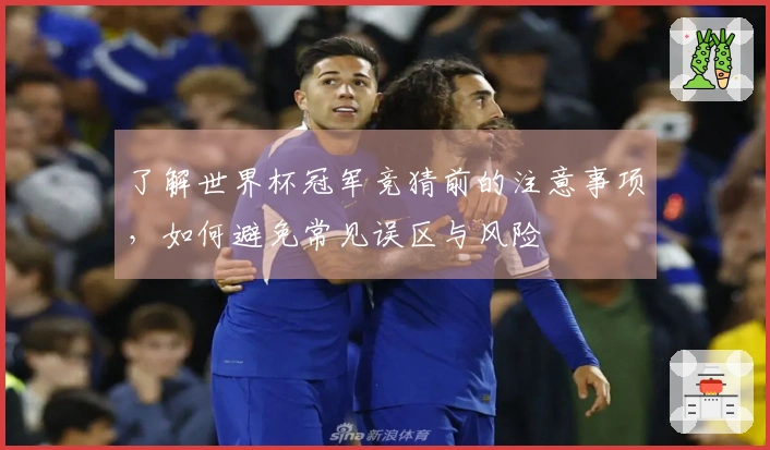 了解世界杯冠军竞猜前的注意事项，如何避免常见误区与风险