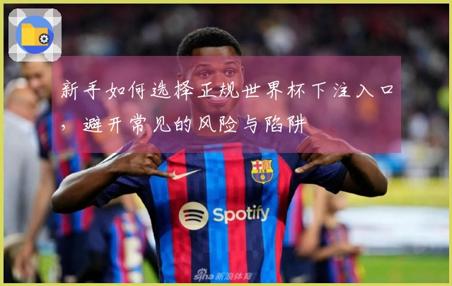 新手如何选择正规世界杯下注入口，避开常见的风险与陷阱