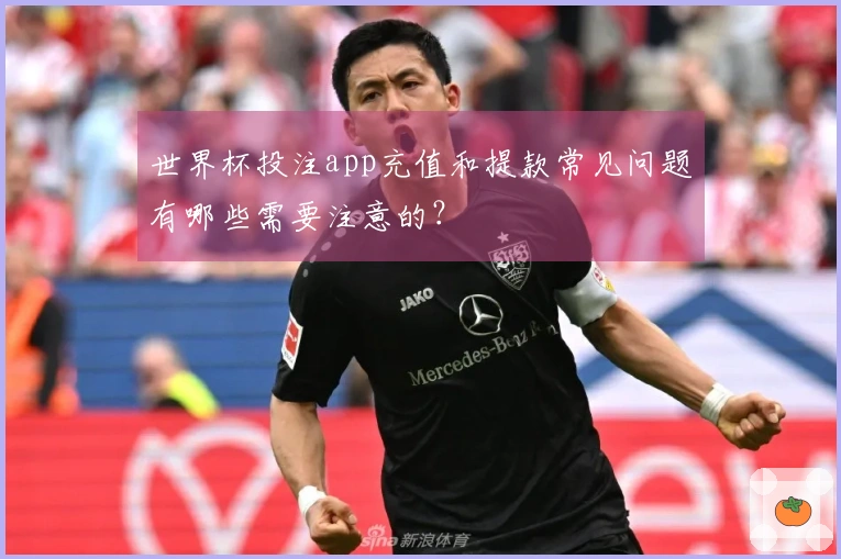 世界杯投注app充值和提款常见问题有哪些需要注意的？