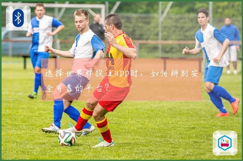 选择世界杯投注app时，如何辨别安全可靠的平台？