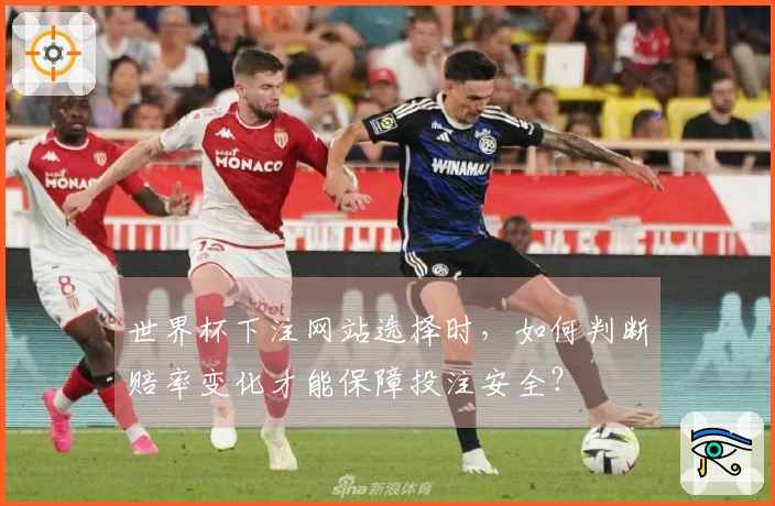世界杯下注网站选择时，如何判断赔率变化才能保障投注安全？
