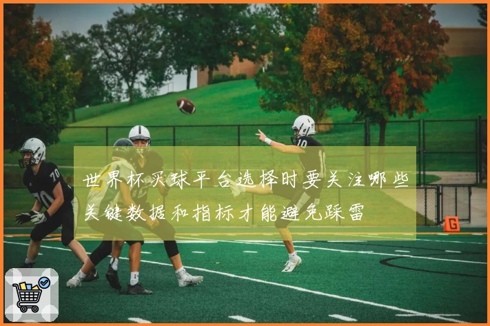 世界杯买球平台选择时要关注哪些关键数据和指标才能避免踩雷